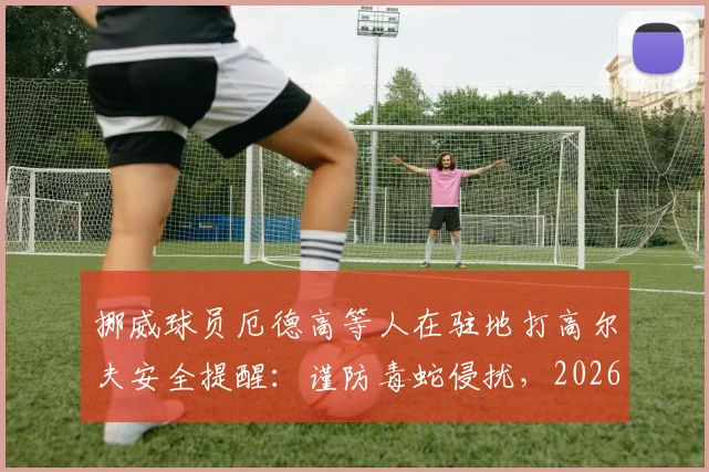 挪威球员厄德高等人在驻地打高尔夫安全提醒：谨防毒蛇侵扰，2026年驻地高尔夫需注意防范毒蛇安全措施指南