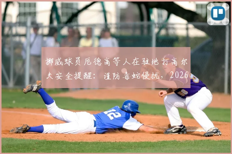 挪威球员厄德高等人在驻地打高尔夫安全提醒：谨防毒蛇侵扰，2026年驻地高尔夫需注意防范毒蛇安全措施指南